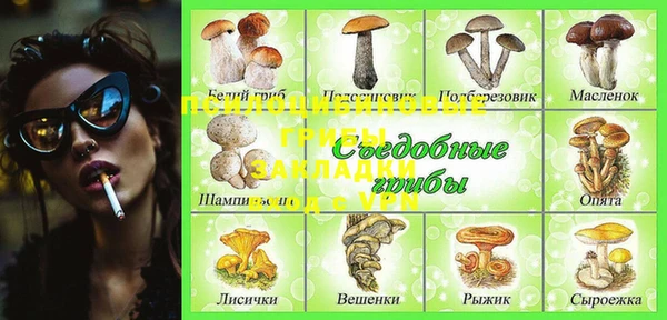 крисы Переславль-Залесский