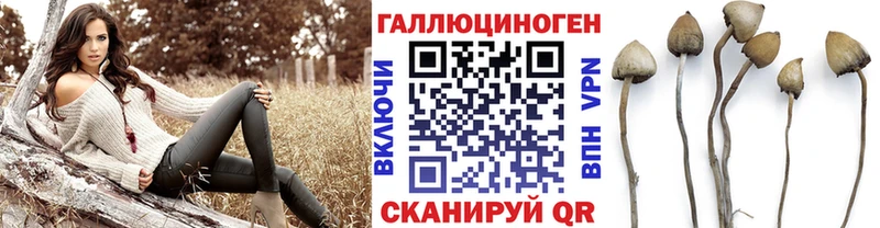 mega зеркало Сухиничи Галлюциногенные грибы прущие грибы